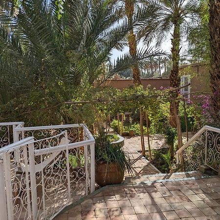 Villa Zagora Ma Villa Au Sahara Exteriér fotografie