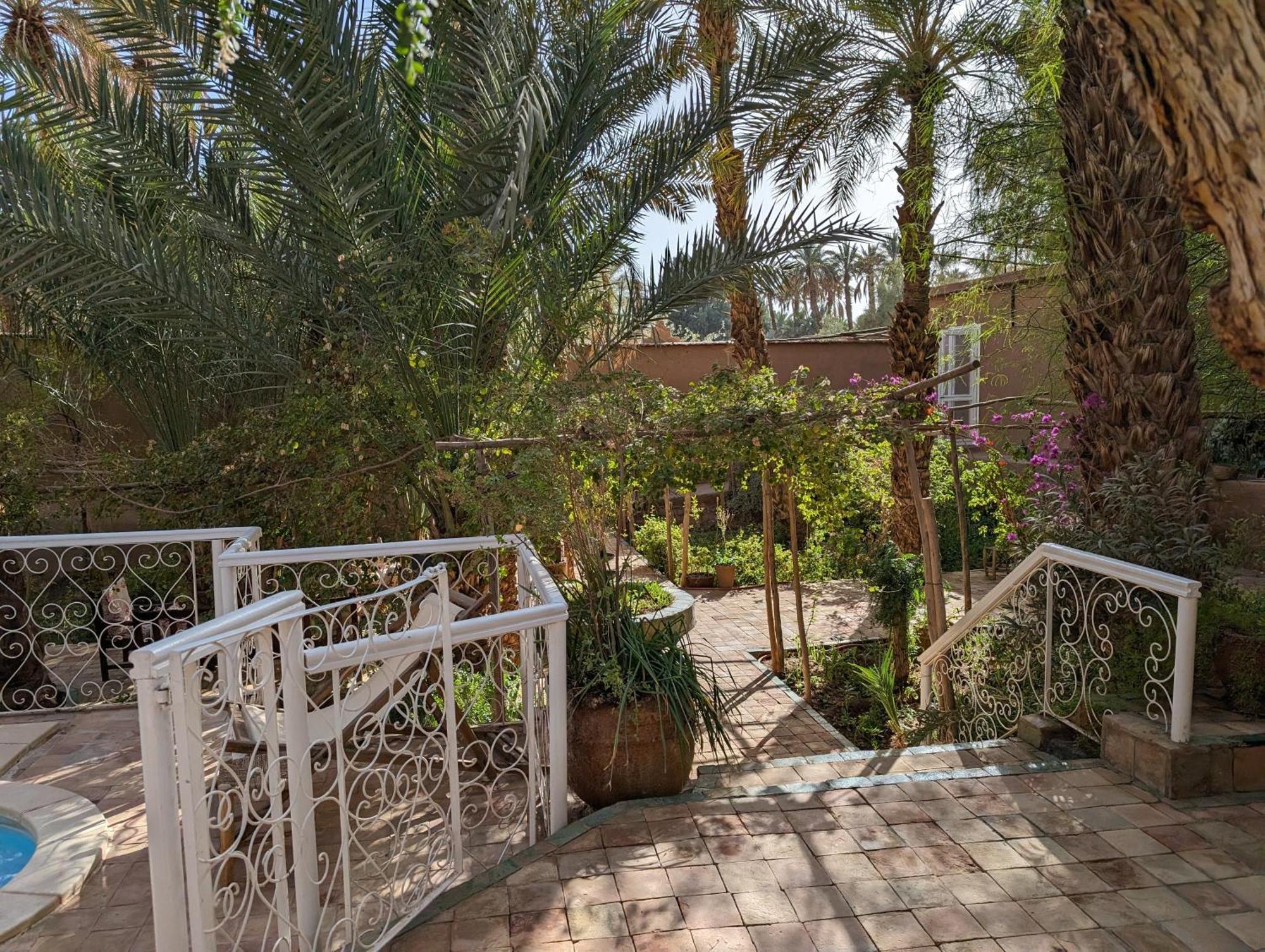 Villa Zagora Ma Villa Au Sahara Exteriér fotografie