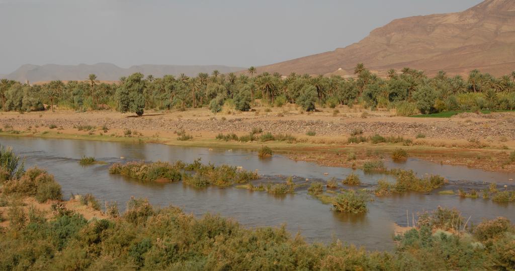 Villa Zagora Ma Villa Au Sahara Exteriér fotografie