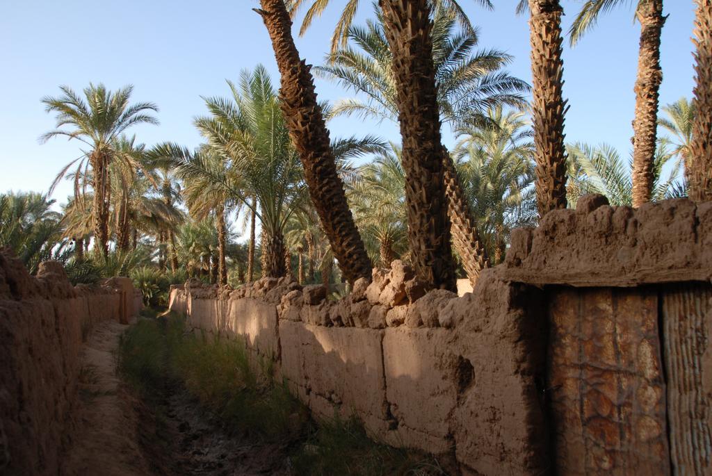 Villa Zagora Ma Villa Au Sahara Exteriér fotografie