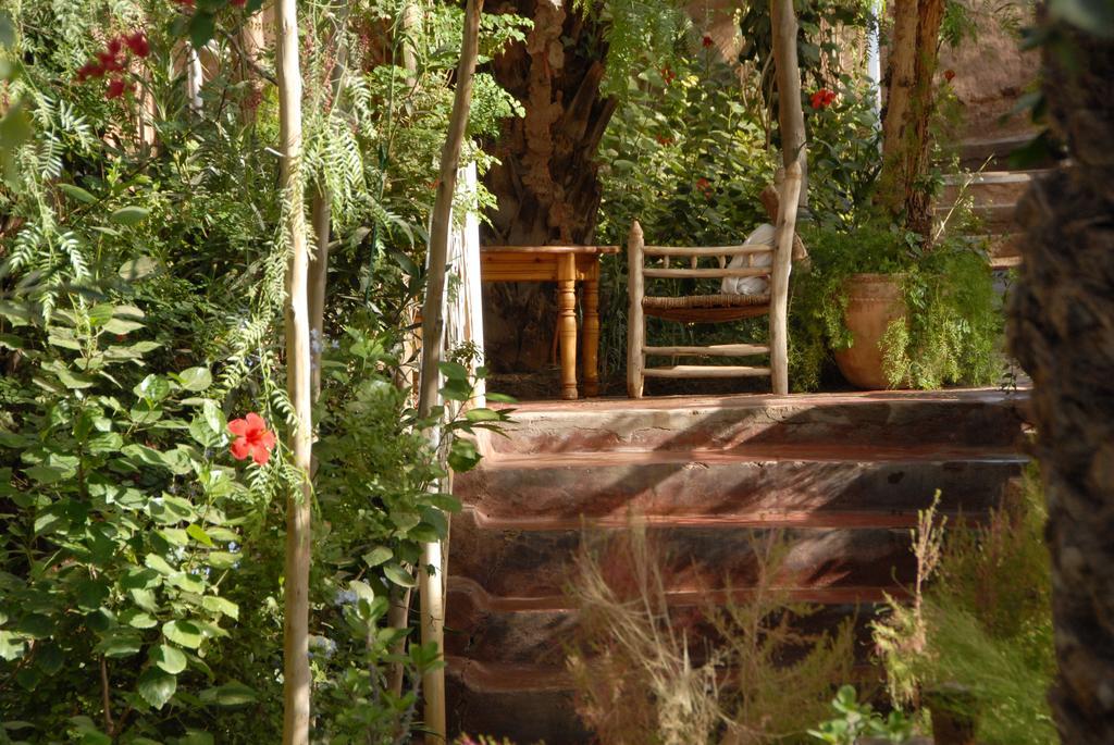 Villa Zagora Ma Villa Au Sahara Exteriér fotografie