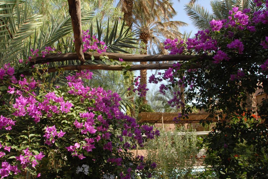 Villa Zagora Ma Villa Au Sahara Exteriér fotografie