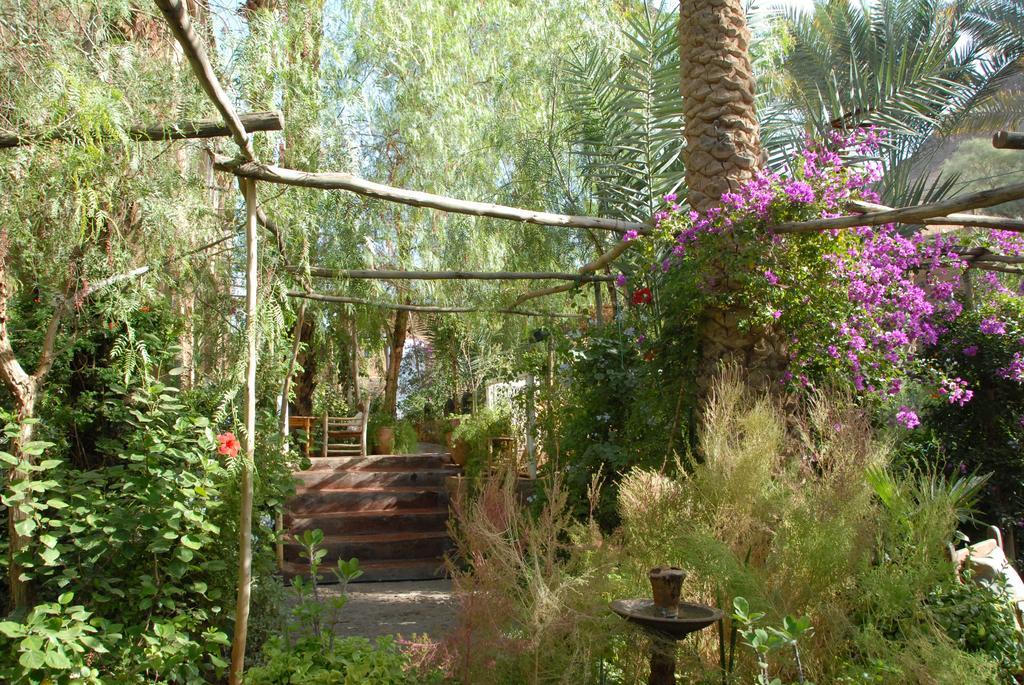 Villa Zagora Ma Villa Au Sahara Exteriér fotografie