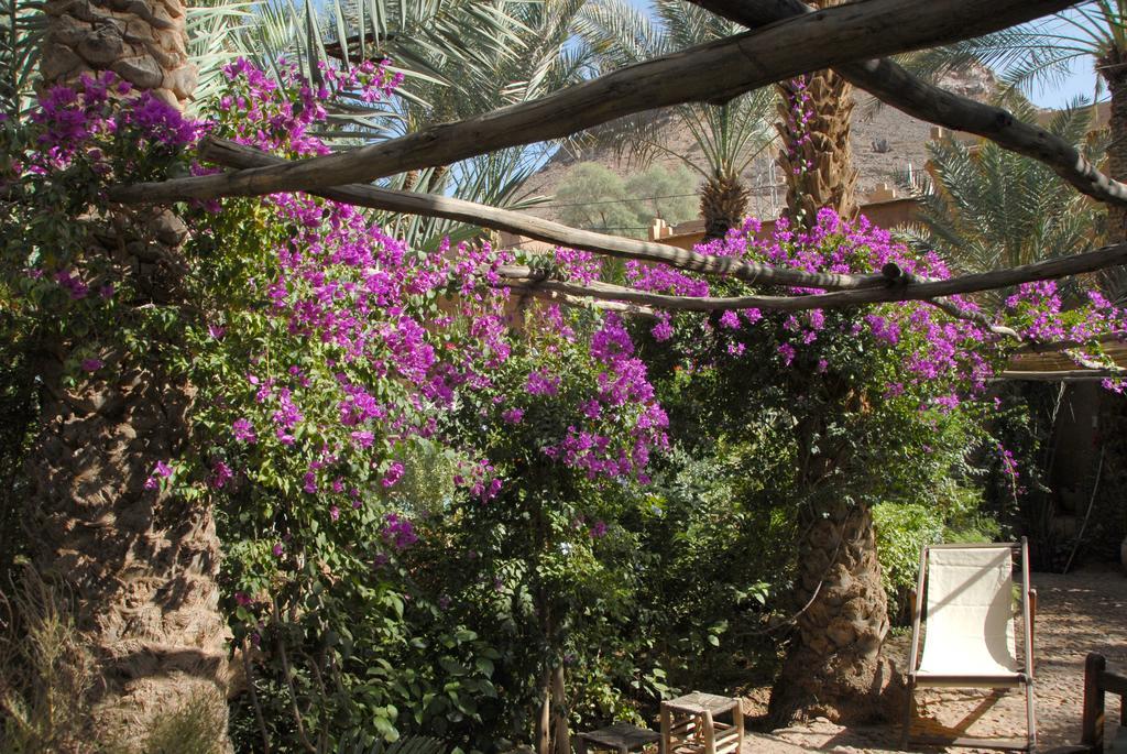 Villa Zagora Ma Villa Au Sahara Exteriér fotografie