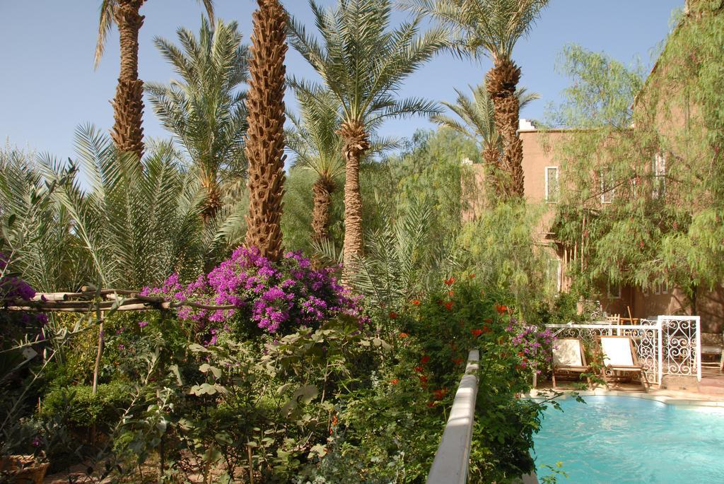 Villa Zagora Ma Villa Au Sahara Exteriér fotografie