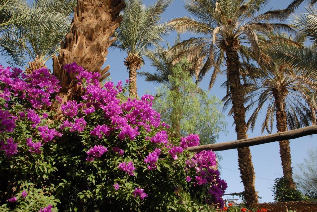 Villa Zagora Ma Villa Au Sahara Exteriér fotografie