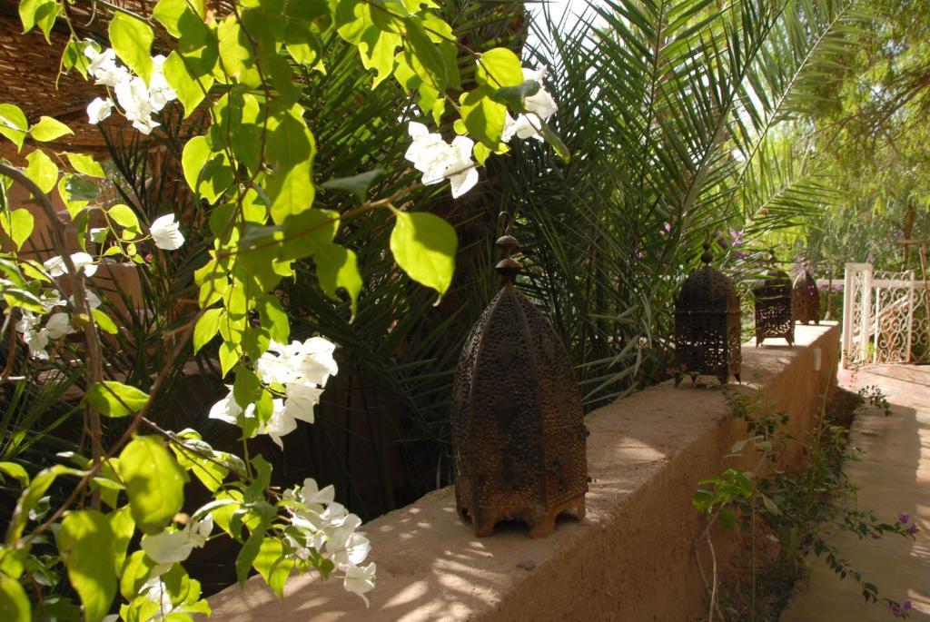 Villa Zagora Ma Villa Au Sahara Exteriér fotografie